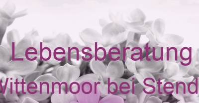 Lebensberatung Wittenmoor bei Stendal | Top-Experten für Kartenlegen, Wahrsagen, Hellsehen, Zukunftsdeutung. Lebensberatung Wittenmoor bei Stendal | Top-Experten für Kartenlegen, Wahrsagen, Hellsehen, Zukunftsdeutung.
